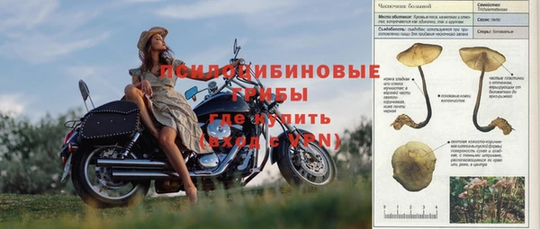 винт Протвино